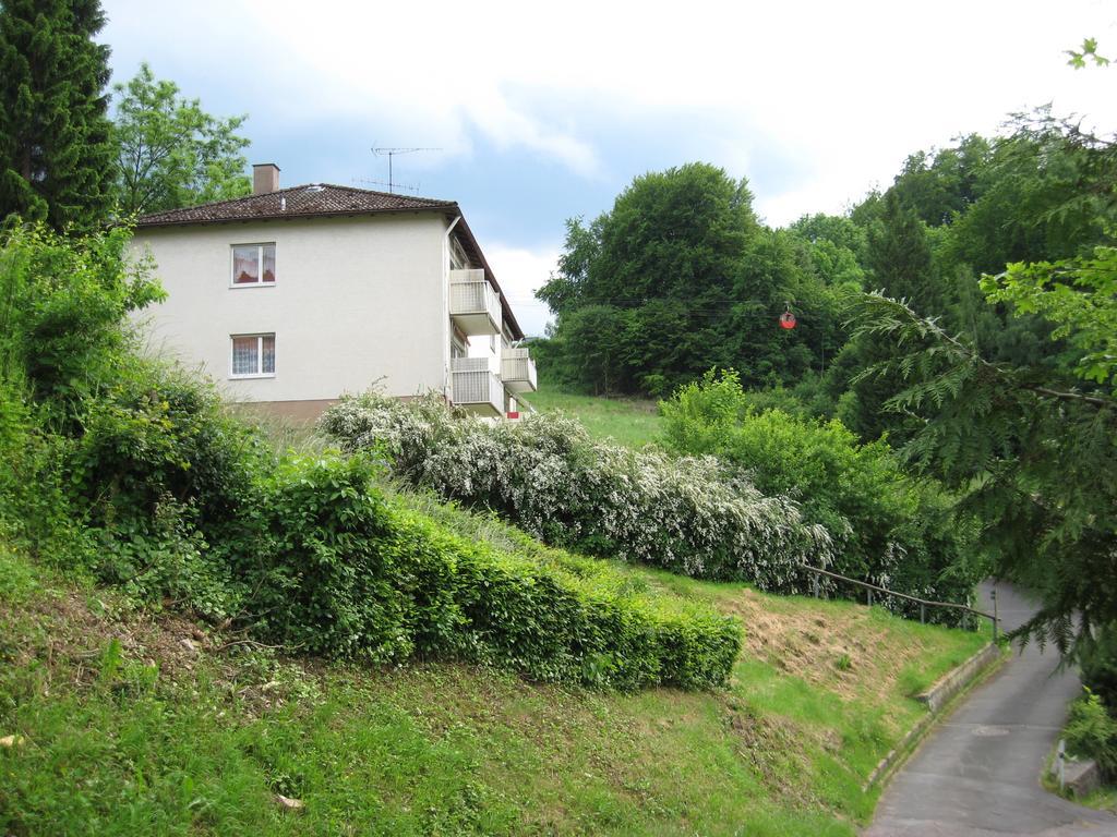 Schlossberg Ferienwohnung Waldeck  Luaran gambar
